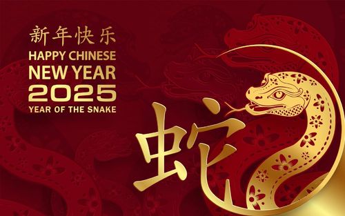 Laatste bedrijfskennis over Gelukkig Chinees Nieuwjaar van High Mountain Chem!