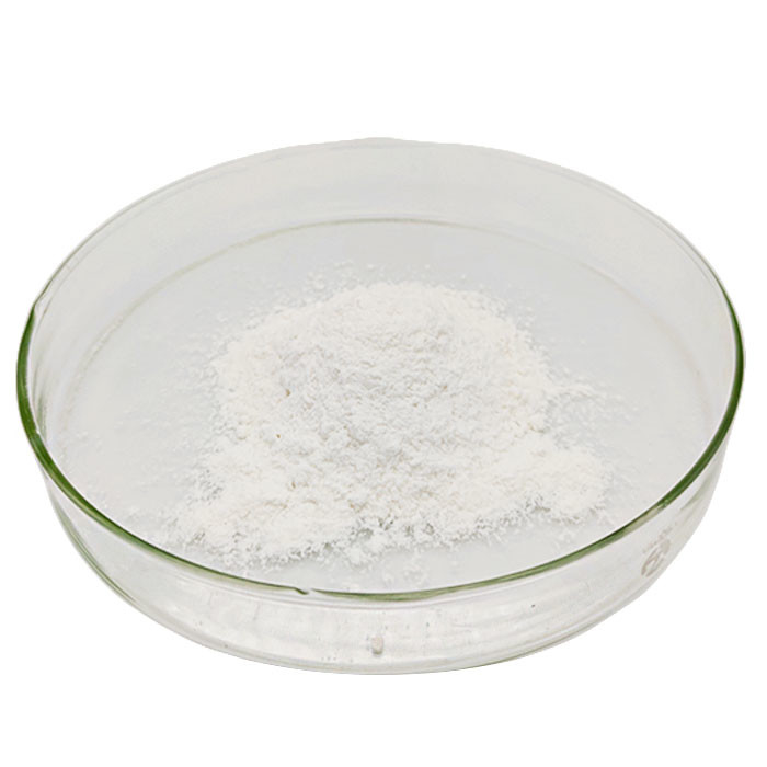 Eerste Rangcmc Sbr Pvdf Poeder voor het Bindmiddelenpolyvinylidene van de Lithiumbatterij Fluoride