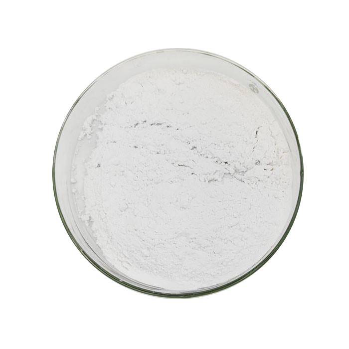 Premium Hydroxypropyl Methyl Cellulose (HPMC) CAS 9004-65-3 Versatile chemisch toevoegingsmiddel